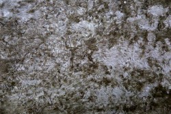 Fur with fine pile in olive color and width 150cm