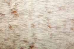 Γούνα σε μουσταρδί χρώμα στην βάση και εκρού χρώμα στην τρίχα και φάρδος 150cm