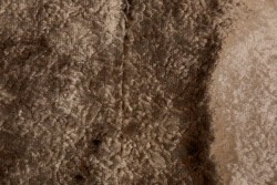 Fur in brown color and width 150cm