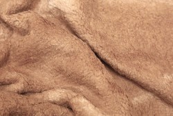 Fur in beige color and width 150cm