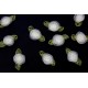 Ραφτό μοτίφ άνθος εκρού με διαφάνεια 30Χ10mm