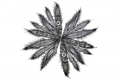 Ραφτό μοτίφ με μαύρη δαντέλα και σχέδια φύλλα διαστάσεων 22cm