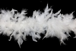 Φτερό μπόα μήκους 2m σε λευκό χρώμα